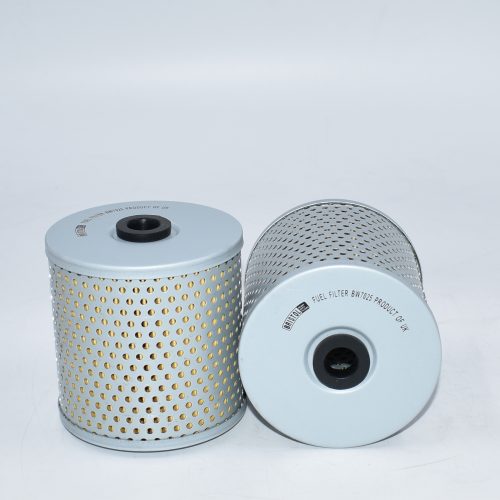 BW7025-FUEL FILTER